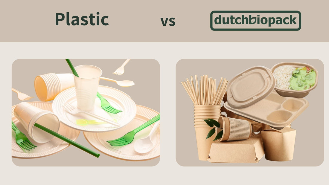Palm leaf plates, sugarcane takeaway boxes, biodegradable tableware for parties