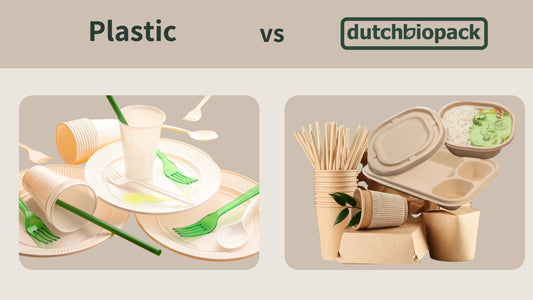 Palm leaf plates, sugarcane takeaway boxes, biodegradable tableware for parties