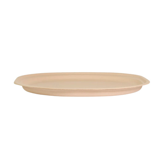 Plate - 25 cm