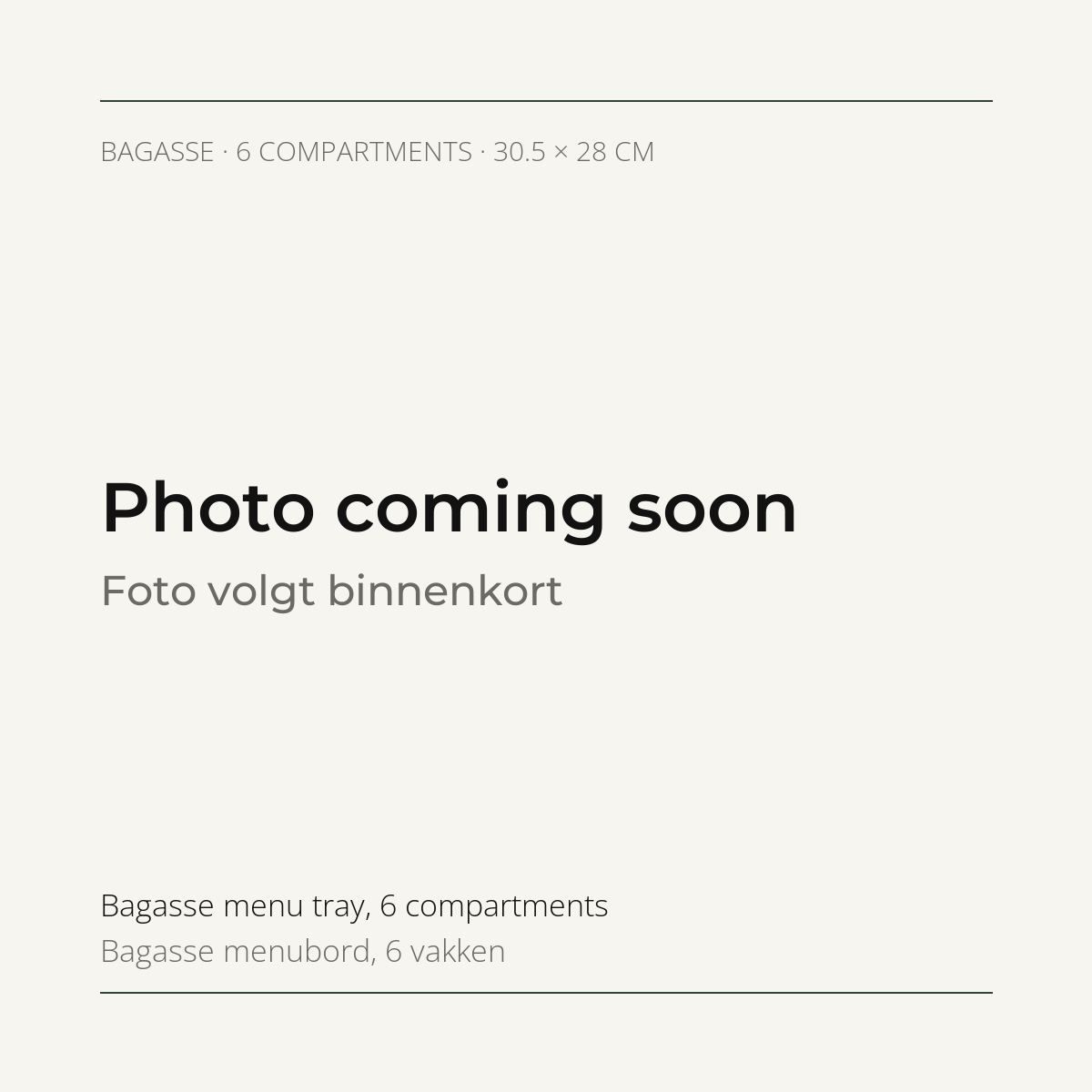 Photo coming soon: bagasse menu tray with 6 compartments